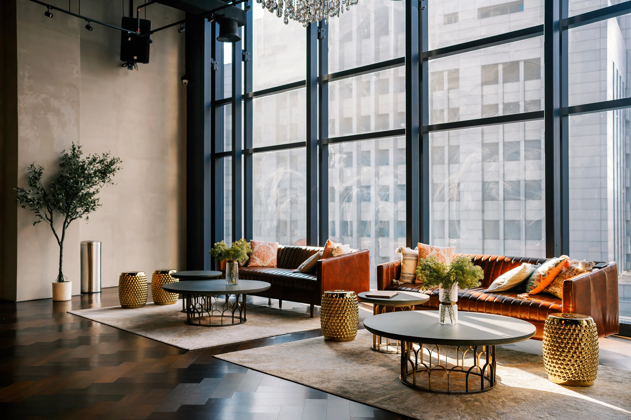Premium commercial lounge renovation with leather seating and steel-framed windows