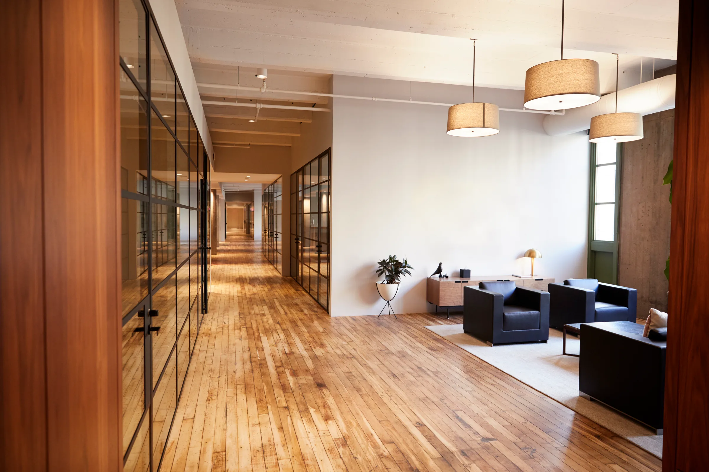 Finished commercial interior renovation with warm wood floors and steel-framed glazing